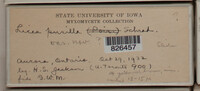 Image Associated With the Occurence